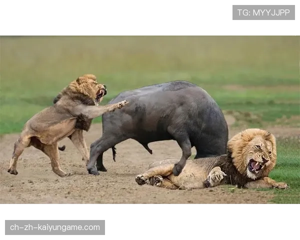 史诗瞬间：那些让人热血沸腾的比赛片段！，让人热血沸腾的场面